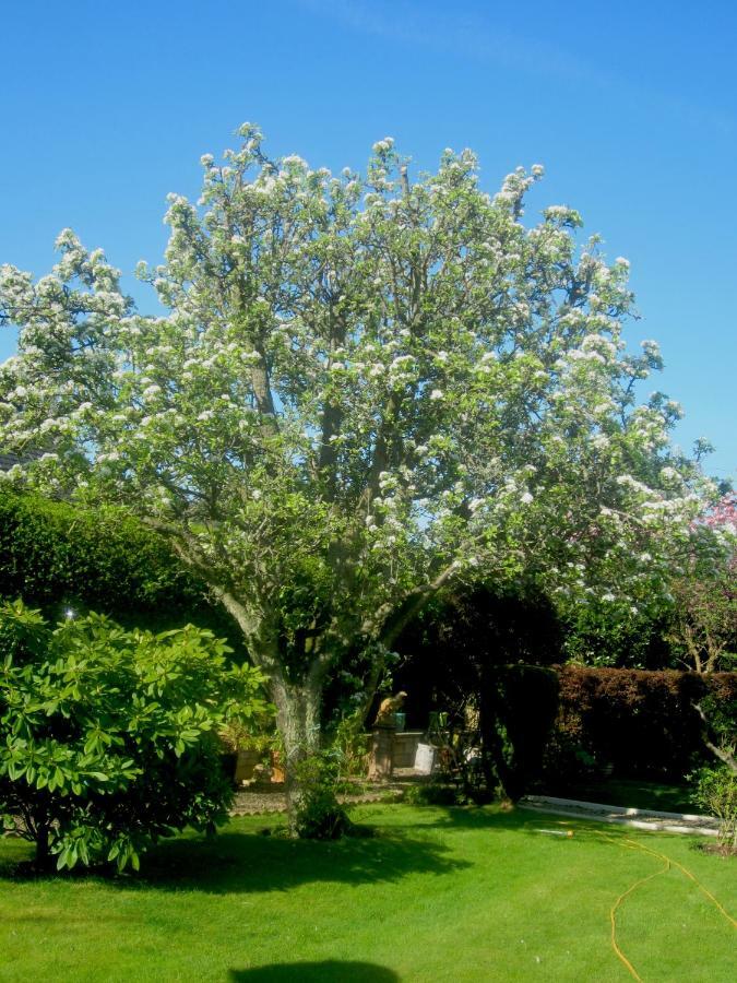 فندق إدنبرةفي  The White House المظهر الخارجي الصورة